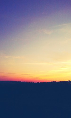 InfoSecur's profile picture. 