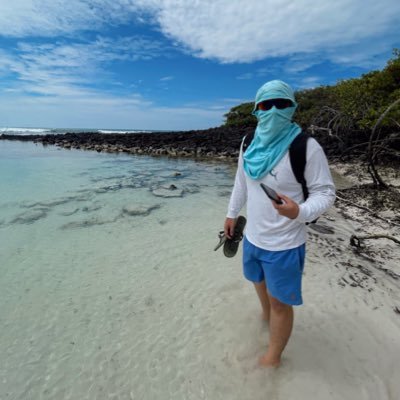 cavarq8's profile picture. Arquitectura y Construcción