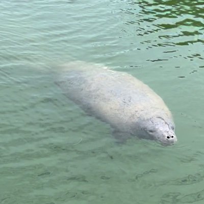 JB30A's profile picture. Almost right