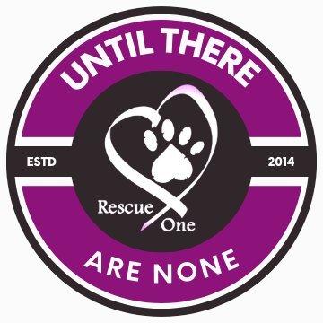 Rescue One is a state licensed, no kill rescue and veterinary clinic in Springfield, MO.