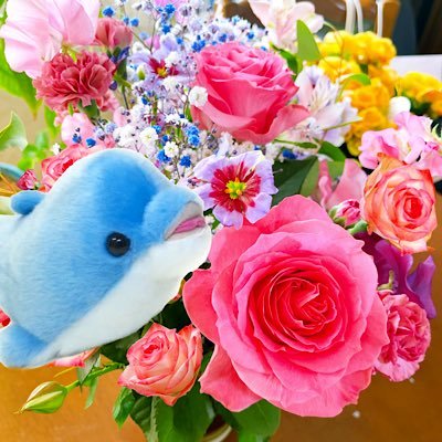 あやうぇーぶ🐬🌸さんのプロフィール画像