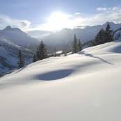 sceptre472's profile picture. There's nothing wrong with putting America first.  let's get back to being #1