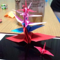 綺桜 (@kiharu_127) Twitter profile photo