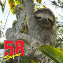 Goldenguigui's profile picture. aka Andrew Jackson