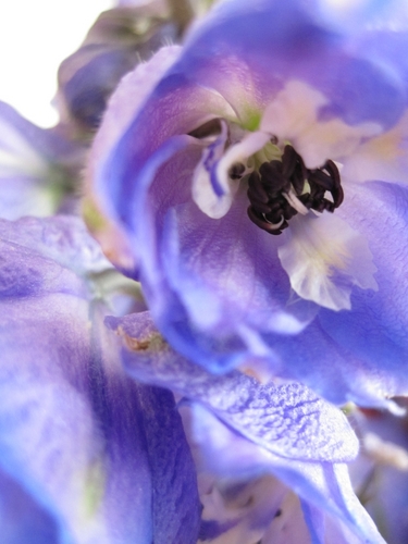 SpringerTherapy's profile picture. Good-bye