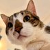 wauchucat (@wauchucat) Twitter profile photo wauchucat (@wauchucat) Twitter profile photo
