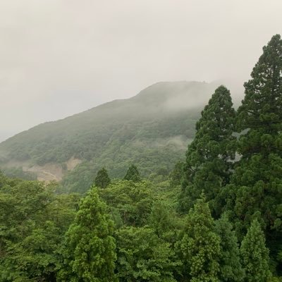 TAHAさんのプロフィール画像
