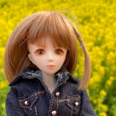 ドールアカウント。詩とか小説とかを書いているみたいなアカウントでもあります。ドールさんの物語2022年から続けて書いてます。もしよければピン留めツイートからリンクあります。交流大歓迎。 中の人は話しかけてもらうととても喜びます。