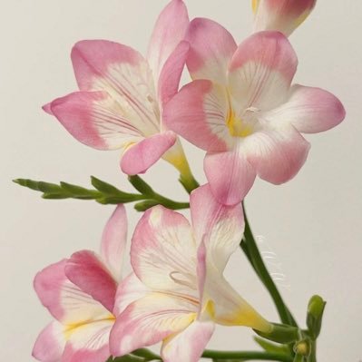 kuriousStories's profile picture. Here for Stocks and AI/ML news