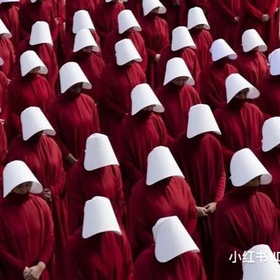 VV6502643533786's profile picture. 