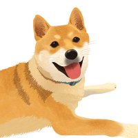 あ こ (@ako_2323_illust) Twitter profile photo