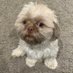deej (@waingro_) Twitter profile photo deej (@waingro_) Twitter profile photo