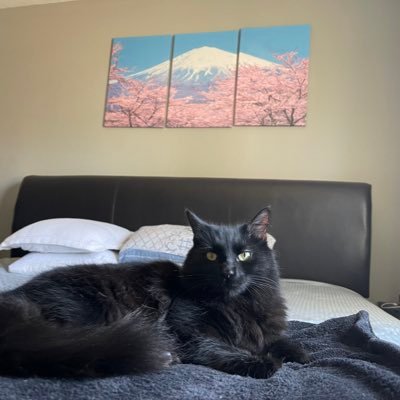 nickmcelroy_'s profile picture. 