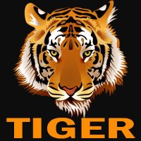 Tiger News (@tigernews) 's Twitter Profile