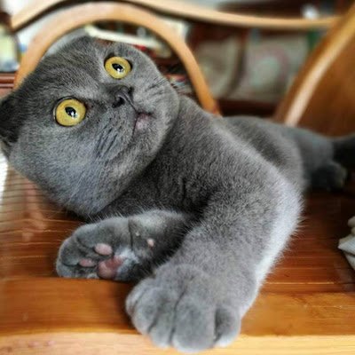 Runnersnailer's profile picture. 