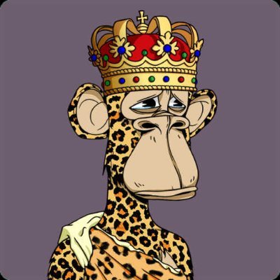 spalato_1980's profile picture. IT assistant  Santa Rosa #nftcollection #nft #digitalartist