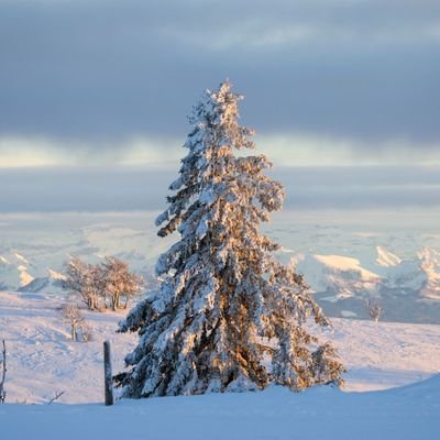 chichi565141798's profile picture. 