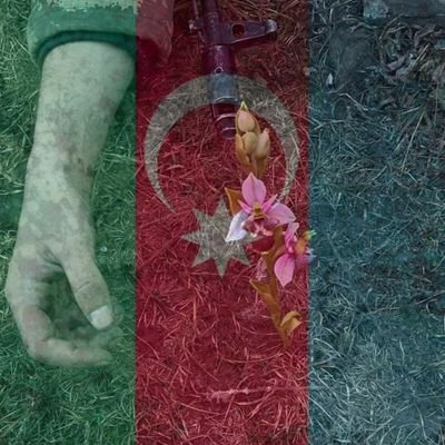 turkxatin's profile picture. عشق دردیله خوشام، ال چک علاجیمدان طبیب!