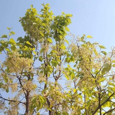 laxman300's profile picture. रिट्वीट्स में मेरा समर्थन है ऐसा न समझा जाए।