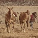 Traci Wright - @TraciWrigh45253 - Twitter