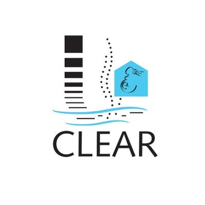 The @SRP_NIEHS funded CLEAR at @waynestate mitigates adverse birth outcomes caused by volatile organic chemicals or VOCs.