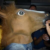 Leonardo Cardin (@pipposcibbavive) 's Twitter Profile