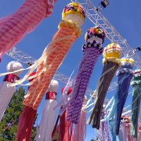 まーる (@auumptftc94x6ff) Twitter profile photo