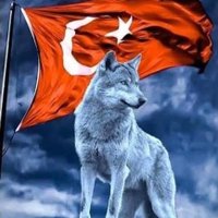 şimalyıldızı (@smlyldz38) Twitter profile photo