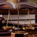 GoldenRabi11952's profile picture. 