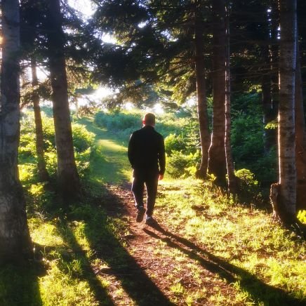 mrloba54's profile picture. Tribünlerden gelen sesler savaşlardaki mazlumların sesini kısıyorsa futbol Afyondur... ALİ ŞERİATİ