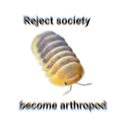 arthropods4life's profile picture. .
.
.
.
.
.
she/they