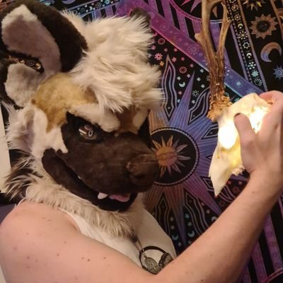 CultOfTheHyena Profile Picture