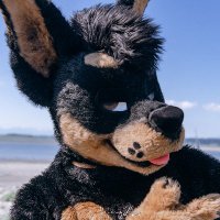 Vin The Doberman 🔜 #Furdu2024(@VintheDoberman) 's Twitter Profile Photo