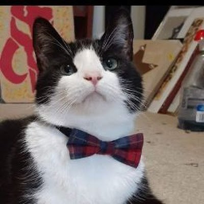 CscCsc230102's profile picture. 