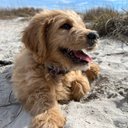 Jason Schechter - @sidewaysplit - Twitter