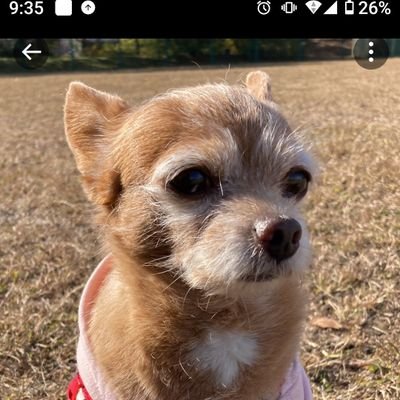【さと🌻🐶👶】見守り隊  ミクチャ公認