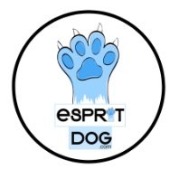 Eva Esprit Dog