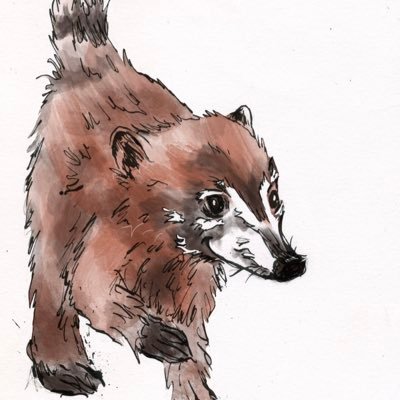 CreativeCoati Profile Picture