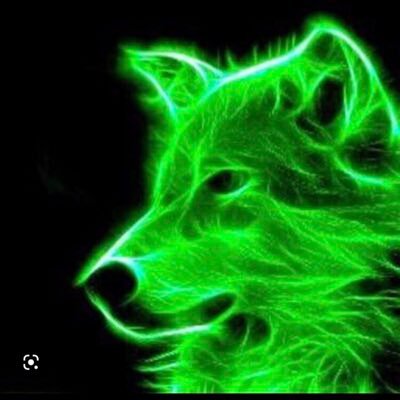 zielonyfoxik's profile picture. krypto hodler, krypto fan , krypto airdroper z pasji 🤑🤑🤑 Walczę o $BULLY @dolos_diary