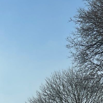 Banham_KH's profile picture. 