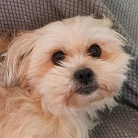 💫Julieanne 🖤☀️❤️🏳️‍🌈💙 (@jjoolan) 's Twitter Profile Photo