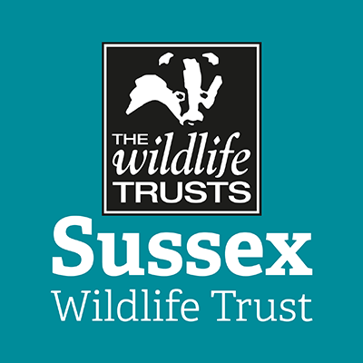 🐟 @SussexWildlife Living Seas Team 🌊
🤿 @_Seasearch Coordinators for Sussex 🦀
🦑 Our goal is nature’s recovery in #Sussex seas 🐬