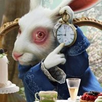Conejo Blanco 🐰 (@conejoblanco77) 's Twitter Profile