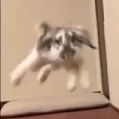 まるだむさんのプロフィール画像