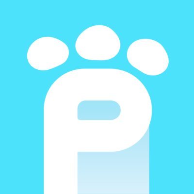 PEPO.io | Virtual Pet Platform for the Metaverse Profile