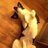 mgilf77's profile image