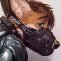 tempestus_vulpis (@tempestusvulpis) 's Twitter Profile