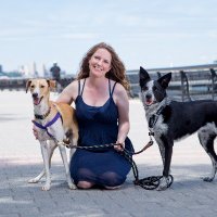 Jenna The Dog Trainer(@AllStarPaws) 's Twitter Profile Photo