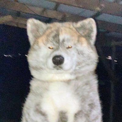 DuckSuckQuack's profile picture. 🦦