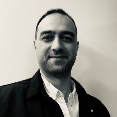دانشیار اقتصاد، تحلیلگر دادههای مالی، مشاور صنایع بخش خصوصی، علاقهمند به هنر